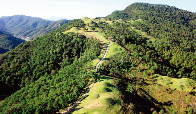 704기 고분으로 이뤄져 국내 최대 규모의 고령 지산동 고분군. 유네스코 세계유산 등재가 추진되고 있다. [사진 제공 · 고령군]