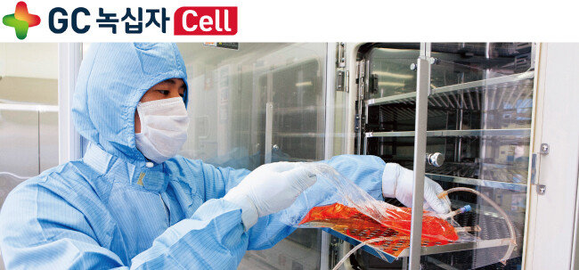 GC녹십자셀이 자랑하는 우수의약품제조품질관리기준(GMP) 시설에서 이뮨셀-엘씨를 생산하고 있다. 한 연구원이 세포를 배양하는 모습. [사진 제공·GC녹십자셀]