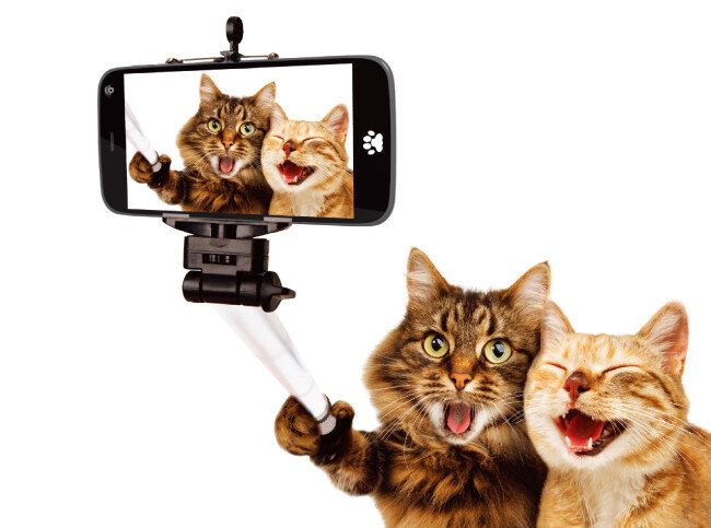 무음 카메라 애플리케이션이나 셀카봉을 쓰면 자연스러운 표정을 포착할 수 있다.