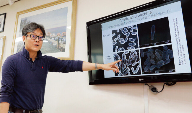 백상호 전북대 식품영양학과 교수는 막걸리 미생물 연구 과정에서 식초균 생성 메커니즘을 연구하는 데까지 이르렀다. [박해윤 기자]