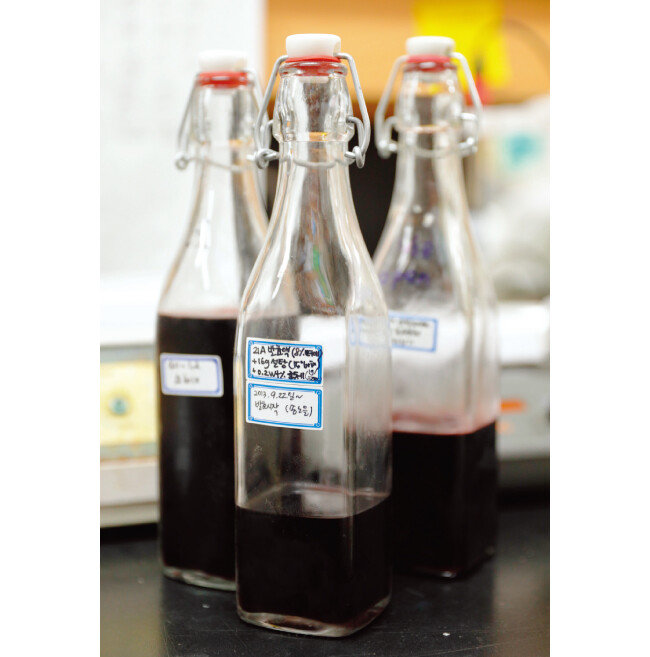 무주 복분자식초 발효 샘플. [박해윤 기자]