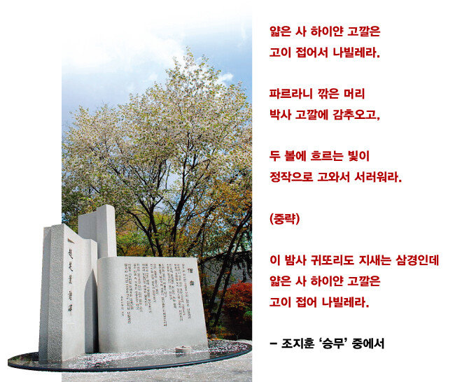 조지훈 시비. [위키피디아]