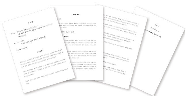 2016년 12월 김부선 씨가 더불어민주당 이재명 후보를 상대로 작성한 고소장.