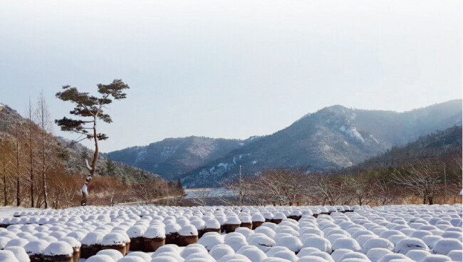 전남 보성에 위치한 비니거파크는 오봉산 자락 아래 저수지를 앞에 둔 대지에 무형문화재 이학수 옹기장이 만든 1500개 항아리가 빼곡하게 들어서 있어 절경을 이룬다. 사진은 지난겨울 눈이 내린 뒤 촬영한 모습. [사진 제공·최진섭]