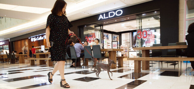 이제 서울 여의도 IFC몰에서도 반려동물과 함께 쇼핑을 즐길 수 있다. 이탤리언 그레이 하운드 준이와 함께 IFC몰을 둘러봤다.