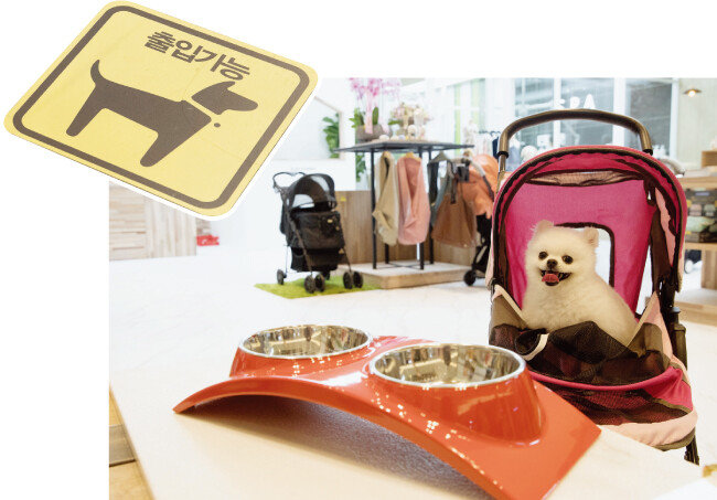 IFC몰에 문을 연 프리미엄 펫숍 ‘비쇼네’. 포메라니안 곰이가 카메라를 응시하고 있다(오른쪽). 매장 곳곳에 반려견 출입 가능 여부가 표시된 스티커가 붙어 있다.