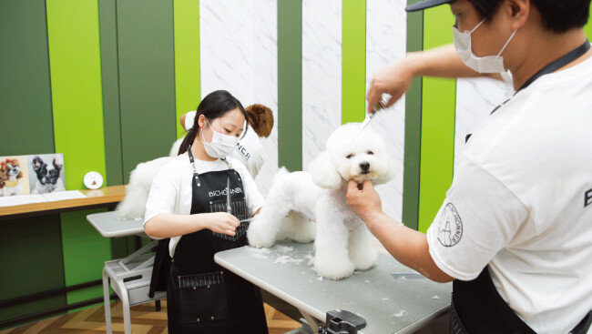 ‘비쇼네’에서는 전문 미용사들이 비숑프리제와 중소형견의 미용을 담당한다.