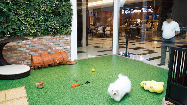 IFC몰에서 반려견을 맡기고 영화를 보거나 식사를 하려면 애견 놀이터를 이용하면 된다.