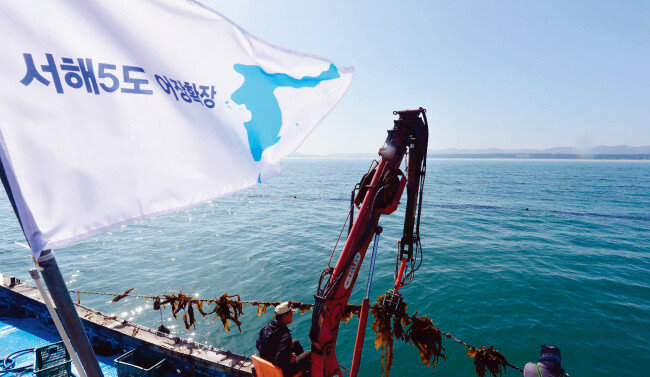 북  ·  미 정상회담을 앞두고 서해5도 어민들이 평화를 상징하는 한반도기를 어선에 달고 다시마 조업을 하고 있다. [뉴시스]