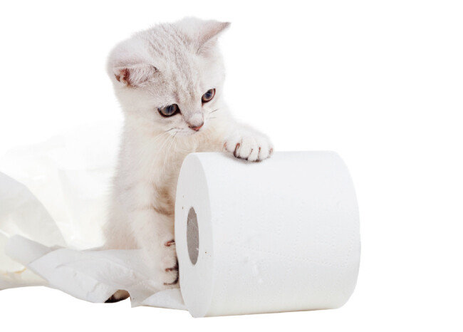 [shutterstock]