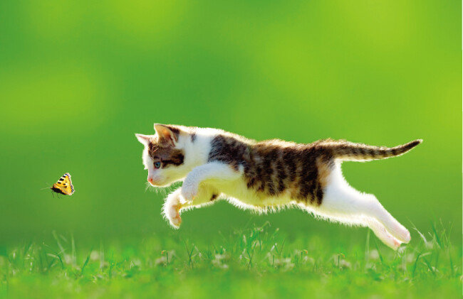 [shutterstock]