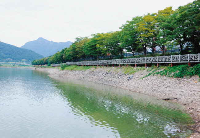 전남 장성 장성호관광지 산책로.