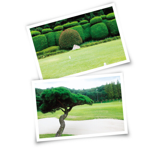 ‘대자연의 여유와 감동’을 주제로 일본인 미야자와 조헤이가 자연을 최대한 살려 설계한 경남 양산시 하북면 통도 파인이스트 컨트리클럽. [사진 제공 · 김맹녕]