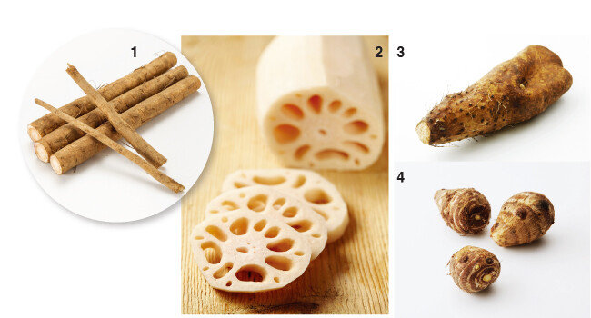 1 단단하고 곧은 우엉, 2 독특한 생김새의 연근, 3 생으로 먹기 좋은 단마, 4 토실토실한 토란. [사진 제공·김민경]