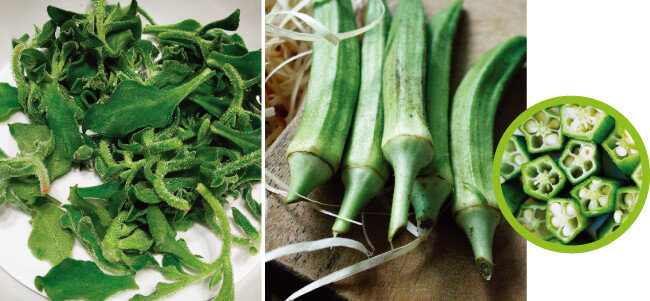 아이스플랜트. (왼쪽) 오크라. 단면(원 안)이 별 모양이다. [사진 제공·김민경]