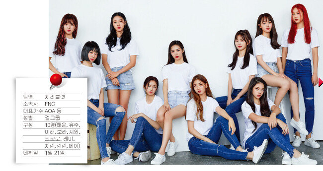 [사진 제공 · FNC엔터테인먼트]