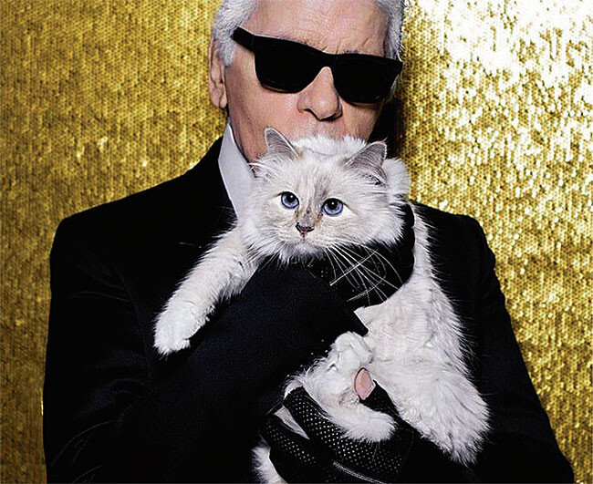 슈페트 인스타그램(@choupettesdiary)