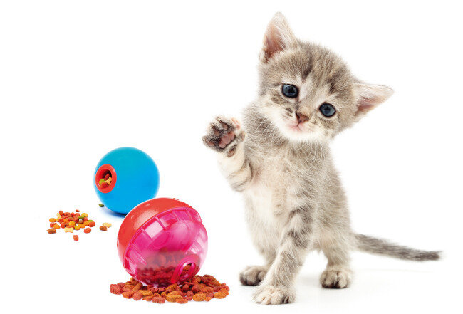 [shutterstock]