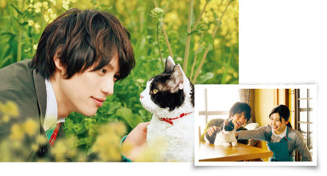 [사진 제공 · 아이 엠]