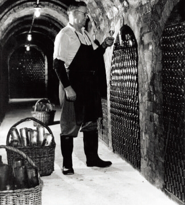 펜폴즈의 와인 저장고. 빈 넘버는 
이 저장고의 구역별 번호를 뜻한다. [사진 제공 ·금양인터내셔날]