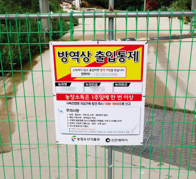 북한에서 아프리카돼지열병이 발생해 국내 전파가 우려되는 가운데 6월 1일 인천 강화군 한 양돈농장에 출입통제 안내문이 붙었다. [뉴시스]