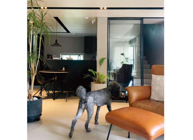 박지현 대표는 실내 계단 입구에도 문을 달아 반려견들이 갑자기 뛰쳐나가지 않도록 신경 썼다. [사진 제공 · 박지현]