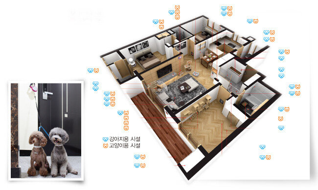반려동물 공생 주택은 개와 고양이를 배려한 시설로 가득하다. [사진 제공 · 반려견주택연구소]