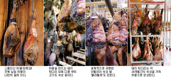 [사진 제공·김민경]