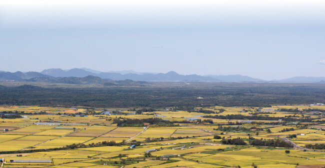 소이산 정상에서 바라 본 철원평야와 DMZ. 띠처럼 수풀로 덮여 남북을 구분하고 있는 곳이 DMZ다. [지호영 기자]