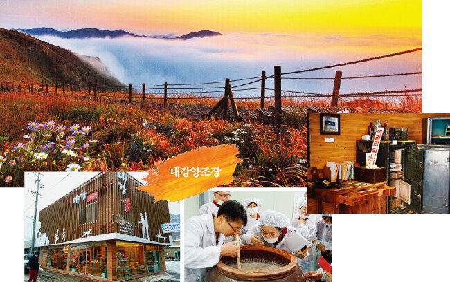 충북 소백산 비로봉 운해(위)와 ‘대강양조장’ 전경 및 양조장 체험  ·  전시 모습. [뉴시스, 사진 제공 · 명욱, 사진 제공 · 대강양조장]