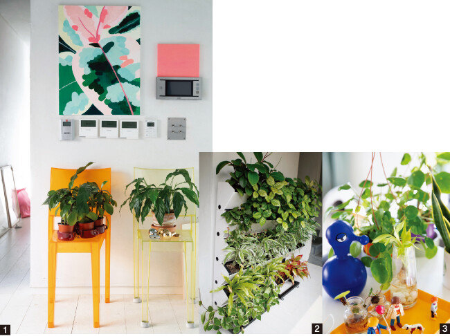 1 대칭적으로 놓은 화분과 식물 그림이 어우러져 인테리어 효과를 준다. 2 1층에서 2층으로 올라가는 위치에 둔 
벽 화분. 3 식물을 물에 담가 키우는 물꽂이(수경재배)는 초보자도 도전하기 쉽다. [지호영 기자, 사진 제공 · 정재경]