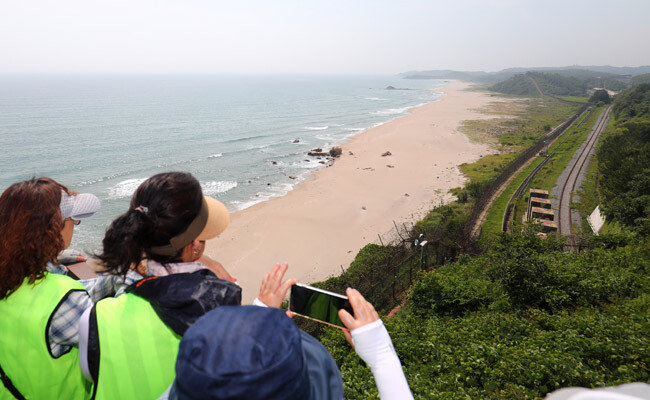 강원도 고성군
DMZ 평화의 길
투어에 나선
관광객들이 주변을
감상하고 있다. [뉴스1]