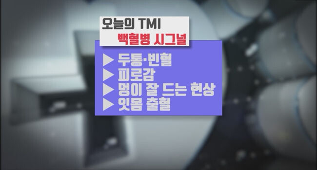 백혈병 시그널.