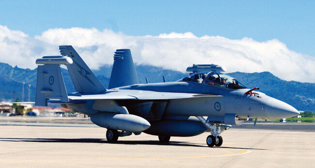 미군 EA-18G 그라울러 전자전기(電子戰機). [사진 제공 · 미국 공군]