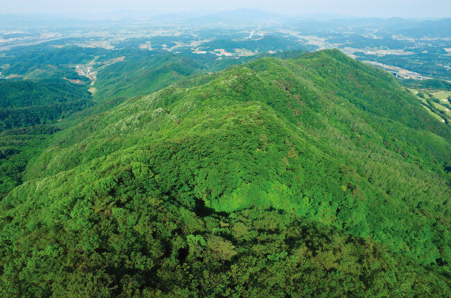 충북 충주시 인등산. [사진 제공 · SK]