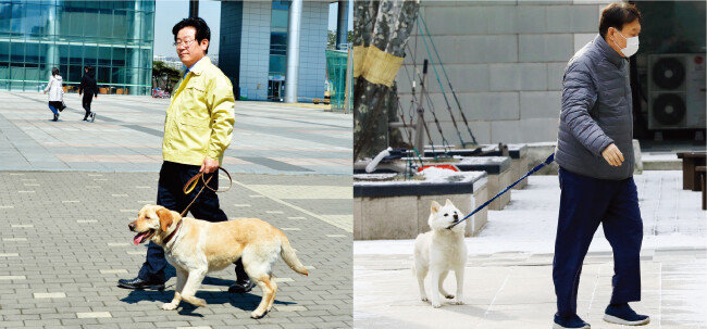 2015년 3월 24일 이재명 당시 경기 성남시장(왼쪽)이 반려견 행복이와 성남시청 인근을 산책하고 있다. 2020년 12월 18일 윤석열 당시 검찰총장이 반려견 토리와 자택 인근을 산책하고 있다. [사진 제공 · 성남시, 동아DB]