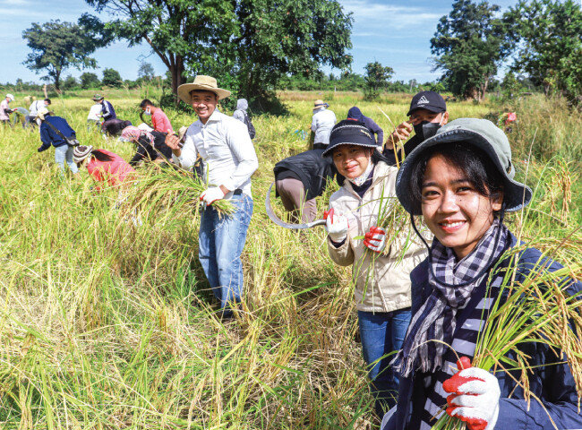 캄보디아 하나님의 교회 신자들이 농번기 일손 부족으로 어려움을 겪는 농가를 찾아 벼 수확에 힘을 보탰다.[사진 제공 · 하나님의 교회]