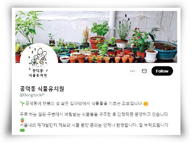 식물을 구조한 뒤 안정되면 분양하는 ‘공덕동 식물유치원’. [트위터 캡처]