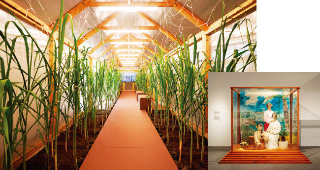 제주 서귀포시 포도뮤지엄에서 열리는 기획전 ‘그러나 우리가 사랑으로’에 전시된 정연두의 작품 ‘사진 신부’. 작가는 사탕수수를 직접 경작하는 행위 등으로 20세기 초 하와이로 건너간 조선 여성의 삶과 관객을 연결하고 있다. [사진 제공 · 포도뮤지엄]