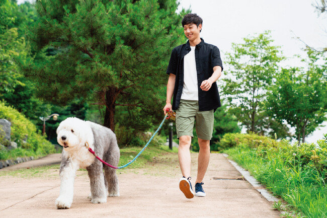 강아지와 산책할 때는 그늘로만 다니거나 해뜨기 전후로 산책 시간을 조정하는 게 좋다. [GETTYIMAGES]