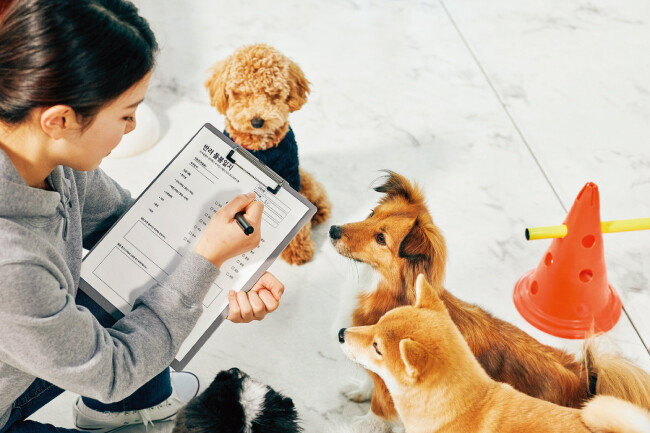 사회적으로 반려동물에 대한 관심이 높아지면서 관련 학과에 진학하려는 학생도 늘고 있다. [GETTYIMAGES]
