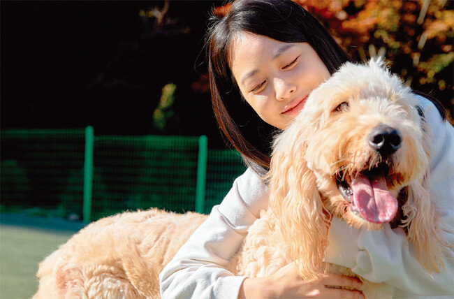 반려동물과 함께 사는 인구가 늘면서 반려동물용 의약품 시장도 커졌다. [GETTYIMAGES]