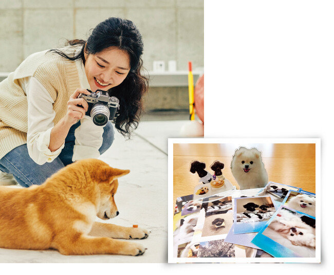 기자가 직접 DIY 업체에 의뢰해 만든 반려동물 굿즈들. [구희언 기자]
