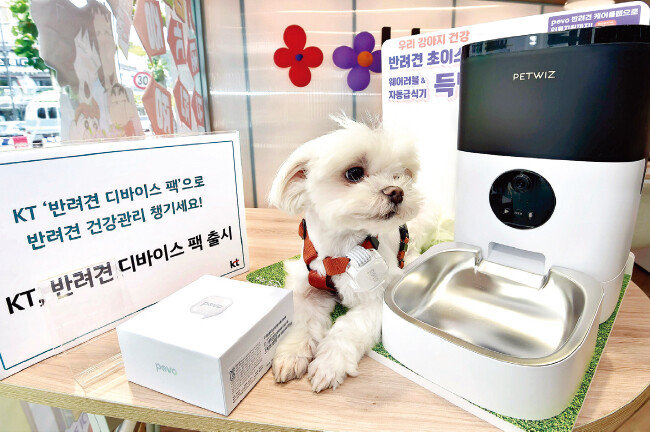 사물인터넷(IoT) 웨어러블, 자동급식기로 구성된 KT의 ‘반려견 디바이스팩’. [사진 제공 · KT]