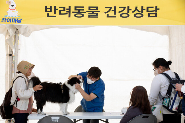 10월 8일 한 시민이 행사장에 마련된 반려동물 건강상담 부스에서 상담을 받고 있다. [출판사진팀] 