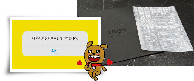 카카오톡에 자기 번호를 친구 추가하면 나오는 메시지(왼쪽). LG전자에서 제공하는 점자 스티커. [카카오 제공, LG전자 제공]