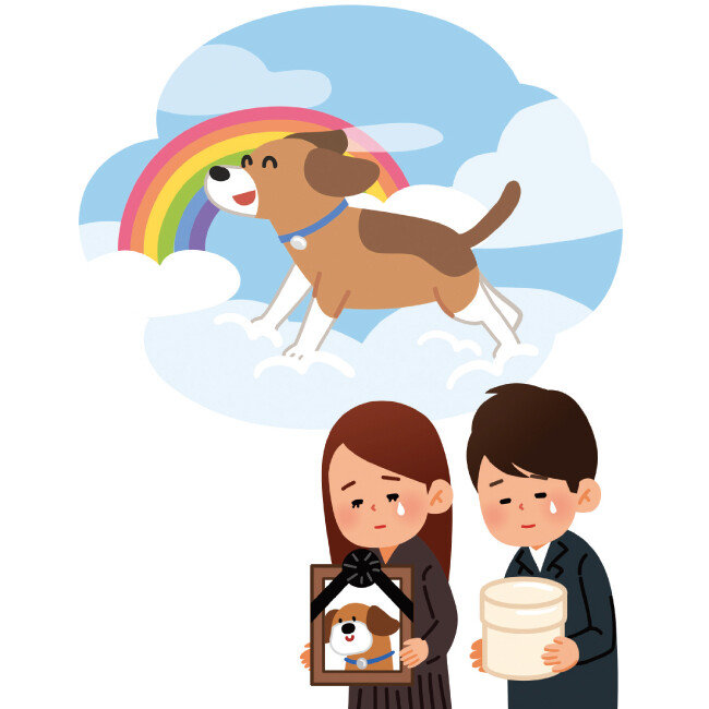 반려동물을 가족처럼 여기는 이가 늘면서 장례 문화에 대한 관심도 높아졌다. [GettyImages]