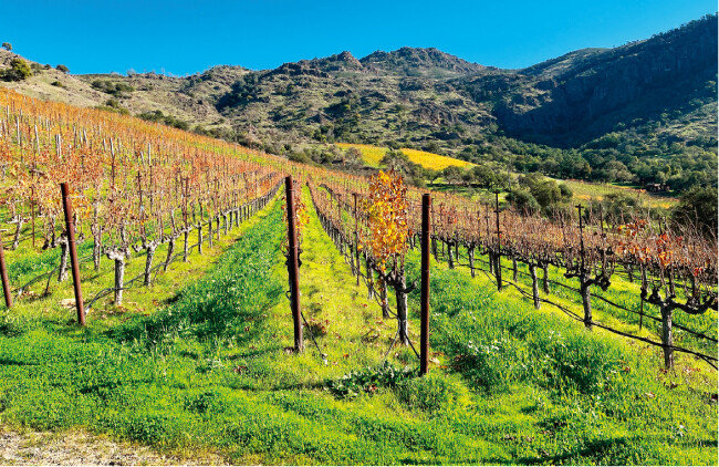 미국 나파밸리 와이너리. [신세계프라퍼티 제공]