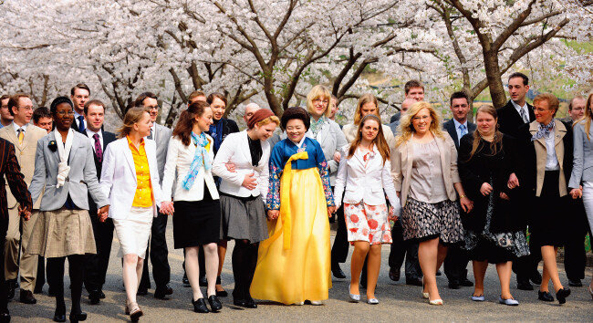 북미와 유럽에서 온 제57차 해외성도방문단이 충북 영동 엘로힘연수원에서 벚꽃이 활짝 핀 한국의 봄을 만끽하며 거닐고 있다. [하나님의 교회 제공]