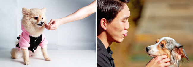잘한 행동을 칭찬하거나 간식, 스킨십 등으로 보상해주는 ‘긍정 강화 훈련’이 가장 적절한 반려견 교육법이다. [GETTYIMAGES]